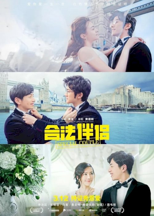Special Couple - Movie Poster Special Couple - Movie Poster