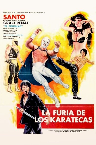 The Fury of the Karate Experts - Movie Poster The Fury of the Karate Experts - Movie Poster