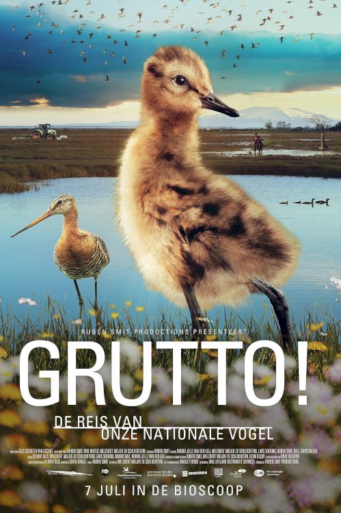 Grutto! De reis van onze nationale vogel - Movie Poster Grutto! De reis van onze nationale vogel - Movie Poster