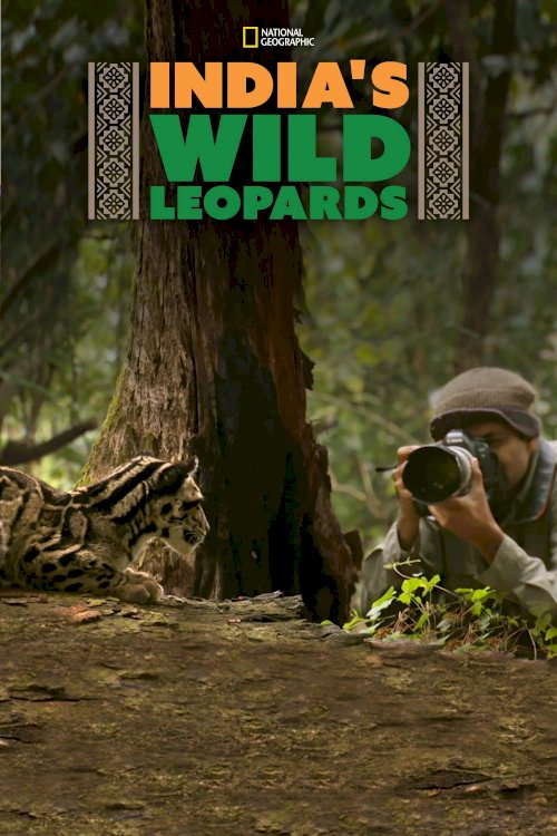 India's Wild Leopards - Movie Poster India's Wild Leopards - Movie Poster