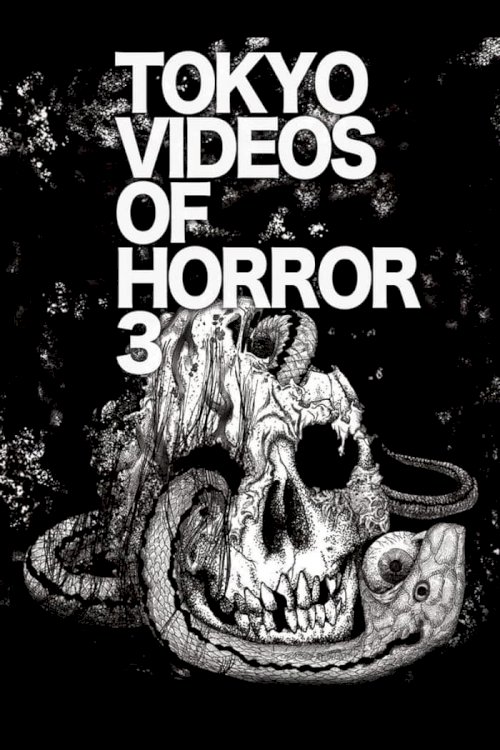 Tokyo Videos of Horror 3 - Movie Poster