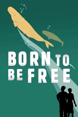 Born to Be Free - Movie Poster Born to Be Free - Movie Poster