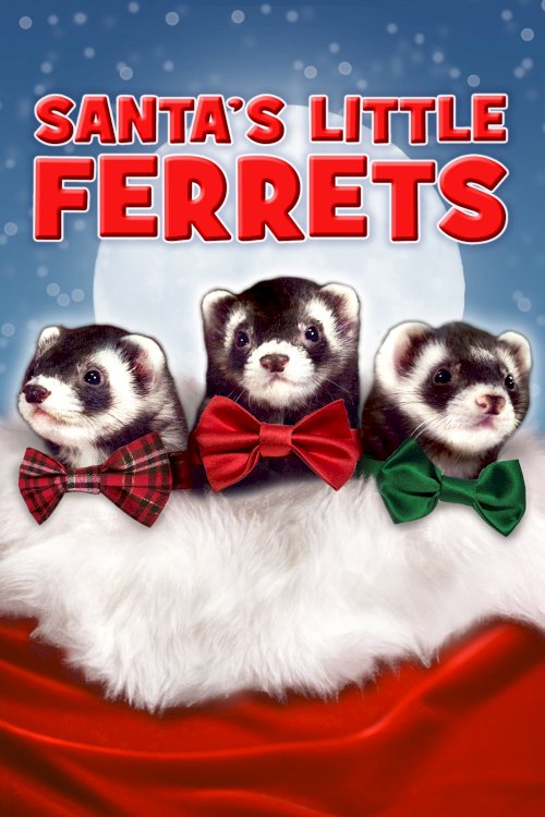 Santa's Little Ferrets - Movie Poster Santa's Little Ferrets - Movie Poster