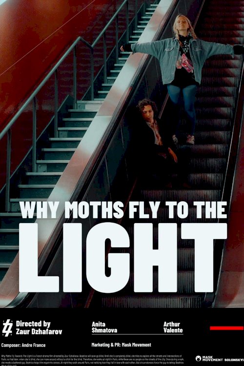 Why Moths Fly to the Light? - Movie Poster Why Moths Fly to the Light? - Movie Poster