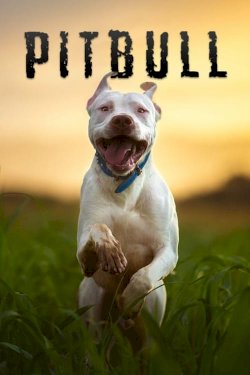Pitbull - Movie Poster Pitbull - Movie Poster