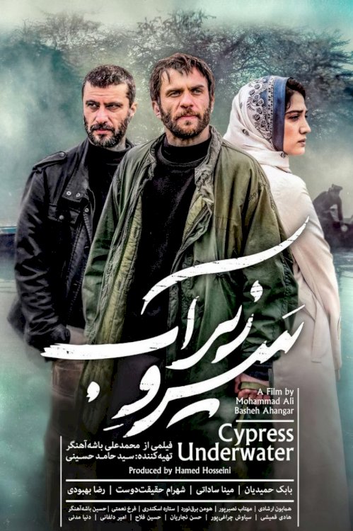 Cypress Under Water - Movie Poster Cypress Under Water - Movie Poster
