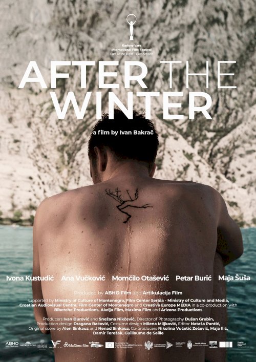 After the Winter - Movie Poster After the Winter - Movie Poster