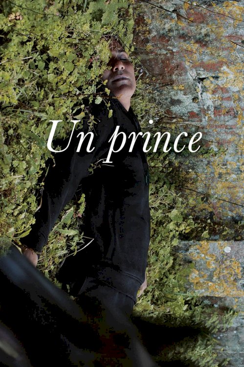 A Prince - Movie Poster A Prince - Movie Poster