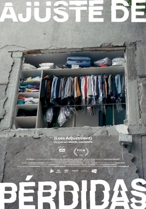 Loss Adjustment - Movie Poster Loss Adjustment - Movie Poster