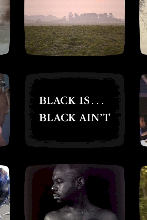 Black Is… Black Ain’t - Movie Poster Black Is… Black Ain’t - Movie Poster