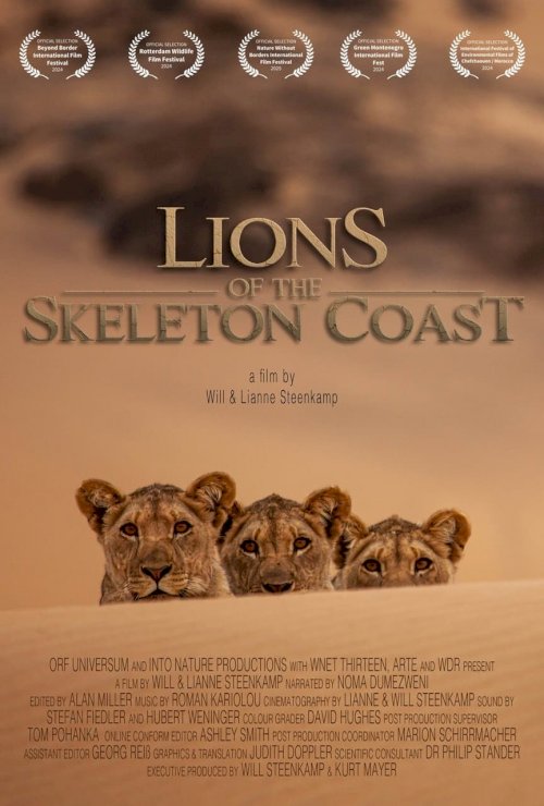 Lions of the Skeleton Coast - Movie Poster Lions of the Skeleton Coast - Movie Poster