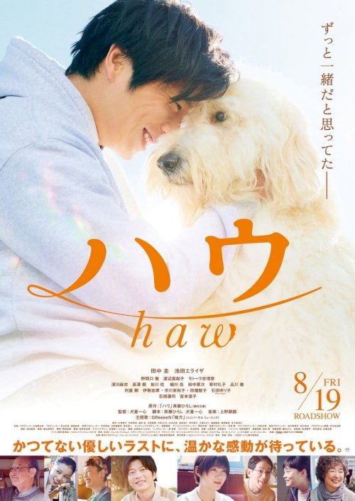 Haw - Movie Poster Haw - Movie Poster