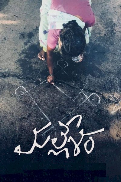 Mallesham - Movie Poster Mallesham - Movie Poster