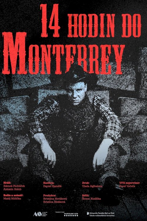 14 hodin do Monterrey - Movie Poster