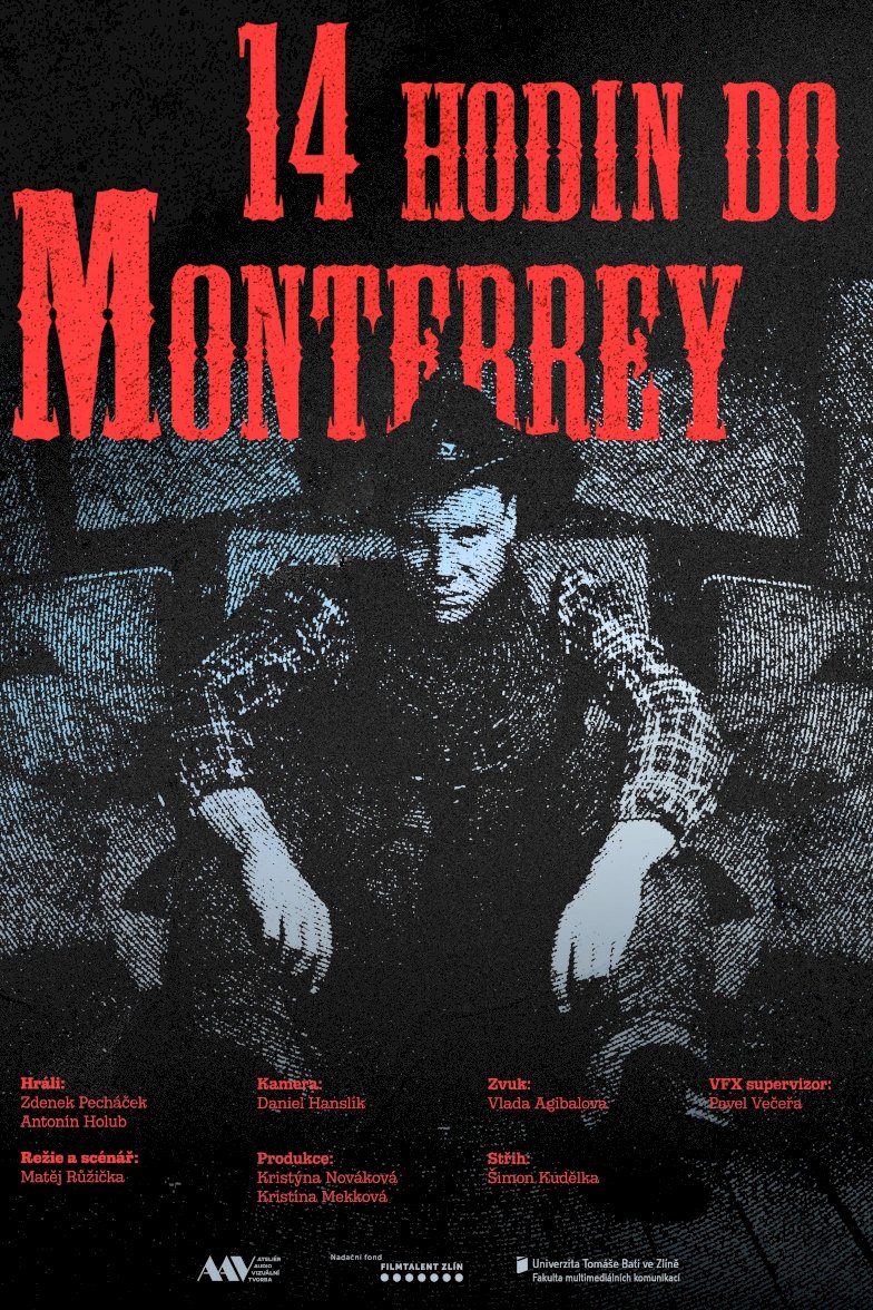 14 hodin do Monterrey - Movie Poster 14 hodin do Monterrey - Movie Poster