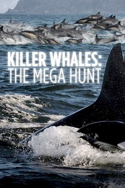 Killer Whales: the Mega Hunt - Movie Poster Killer Whales: the Mega Hunt - Movie Poster