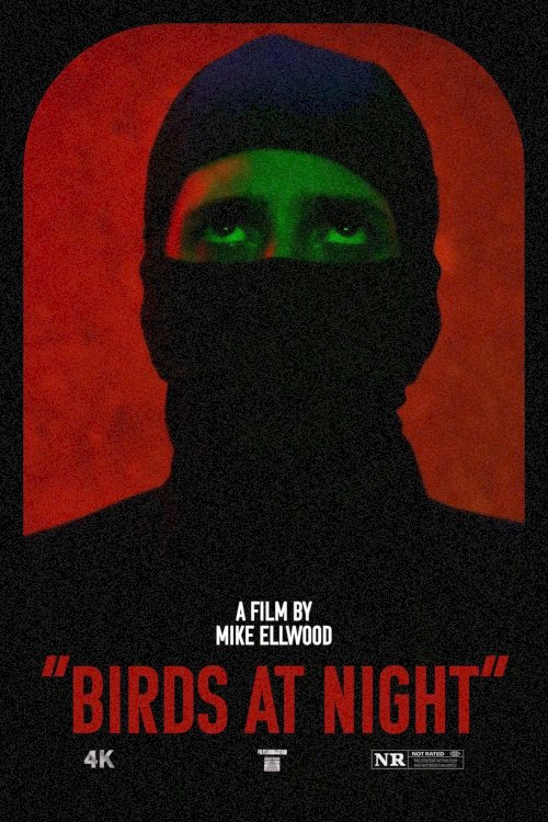 Birds at Night - Movie Poster Birds at Night - Movie Poster
