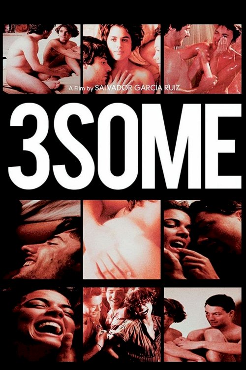 3some - Movie Poster