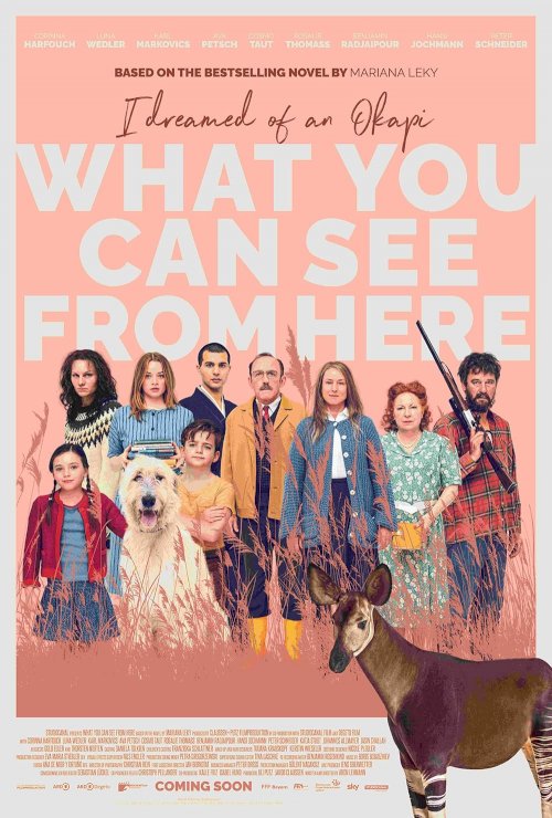 What You Can See from Here - Movie Poster What You Can See from Here - Movie Poster