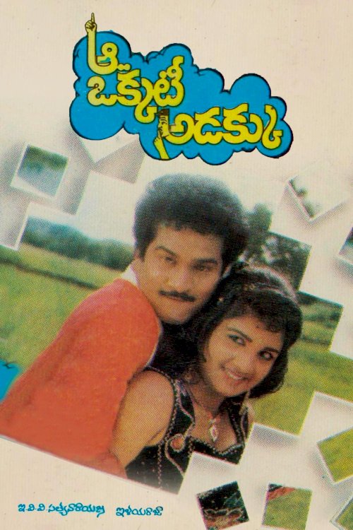Aa Okkati Adakku - Movie Poster Aa Okkati Adakku - Movie Poster