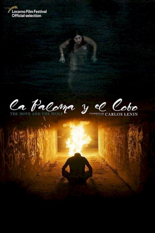 The Dove and the Wolf - Movie Poster The Dove and the Wolf - Movie Poster