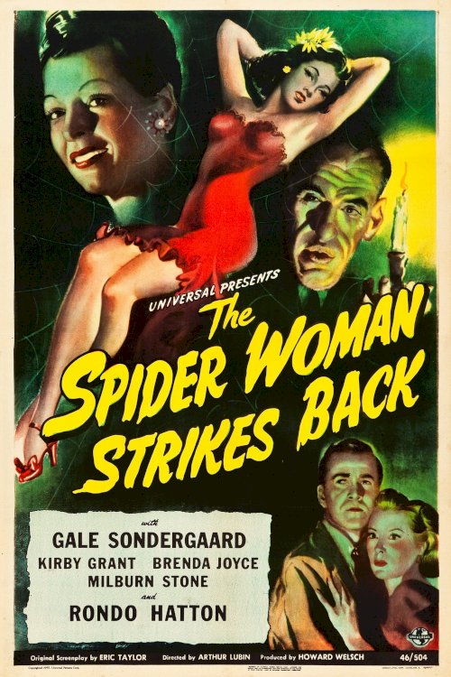 The Spider Woman Strikes Back - Movie Poster The Spider Woman Strikes Back - Movie Poster