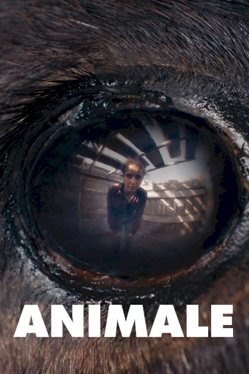 Animale - Movie Poster Animale - Movie Poster
