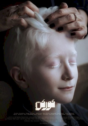 The Badger - Movie Poster