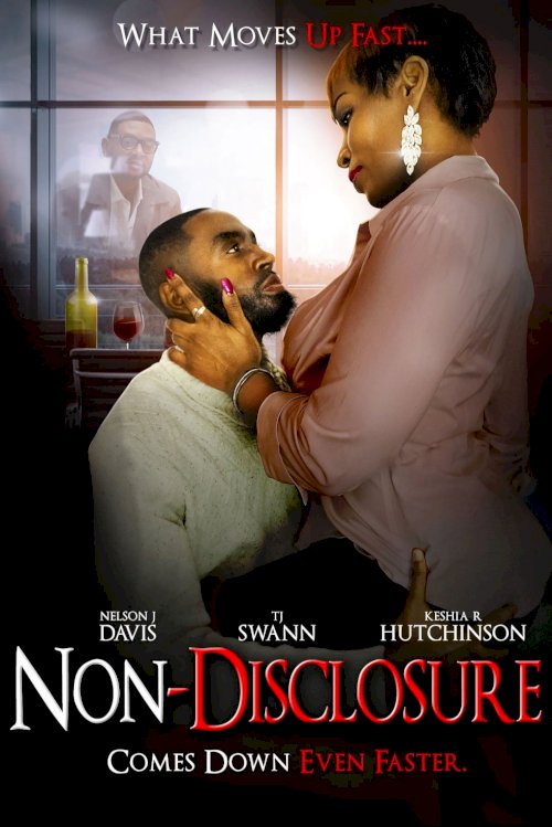 Non-Disclosure - Movie Poster Non-Disclosure - Movie Poster