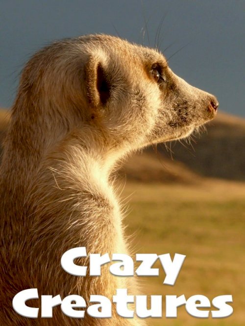 Crazy Creatures - Movie Poster Crazy Creatures - Movie Poster