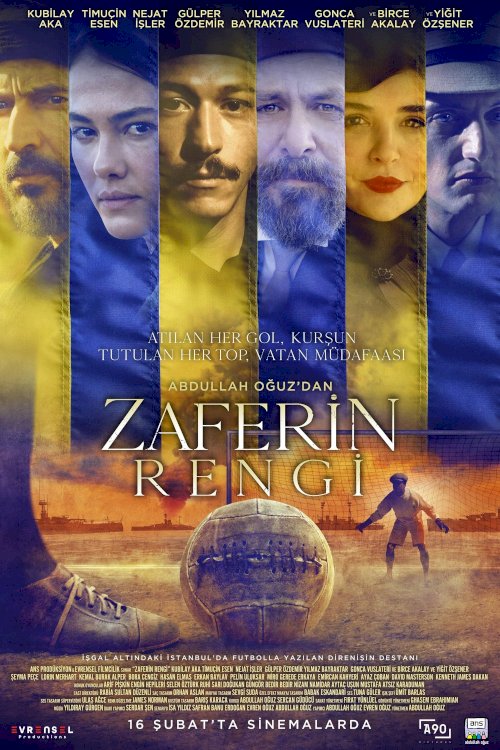 Color Of Victory - Movie Poster Color Of Victory - Movie Poster