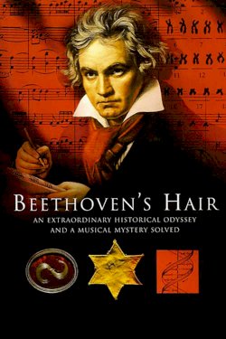 Beethoven's Hair - Movie Poster Beethoven's Hair - Movie Poster