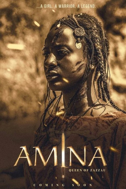Amina - Movie Poster Amina - Movie Poster