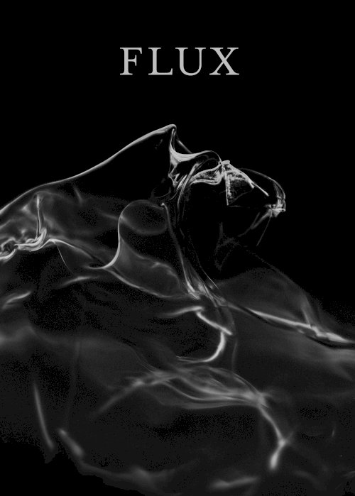Flux - Movie Poster Flux - Movie Poster