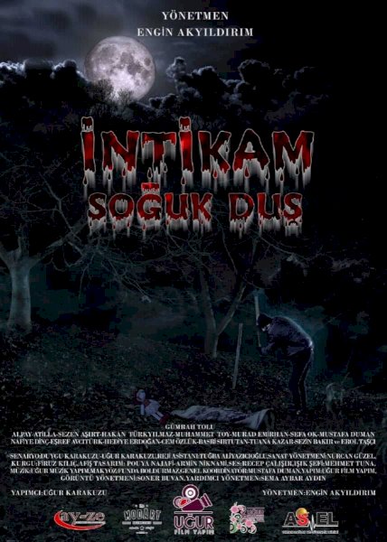 İntikam Soğuk Duş - Movie Poster İntikam Soğuk Duş - Movie Poster