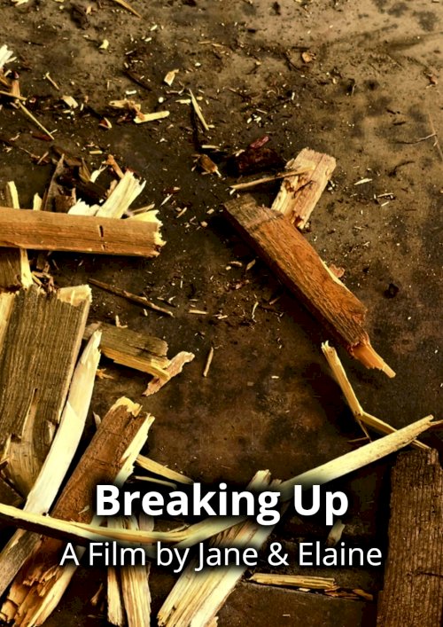 Breaking Up - Movie Poster Breaking Up - Movie Poster