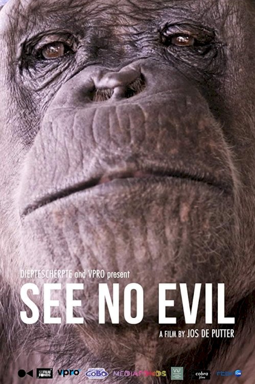 See No Evil - Movie Poster See No Evil - Movie Poster
