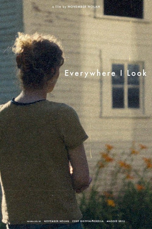 Everywhere I Look - Movie Poster