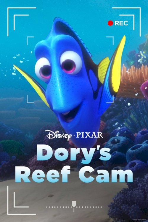 Dory's Reef Cam - Movie Poster Dory's Reef Cam - Movie Poster
