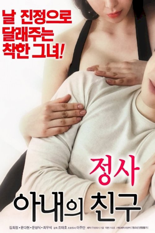 An Affair: My Wife's Friend - Movie Poster An Affair: My Wife's Friend - Movie Poster