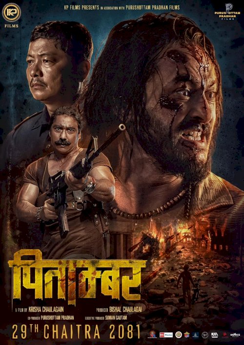 Pitambar - Movie Poster Pitambar - Movie Poster