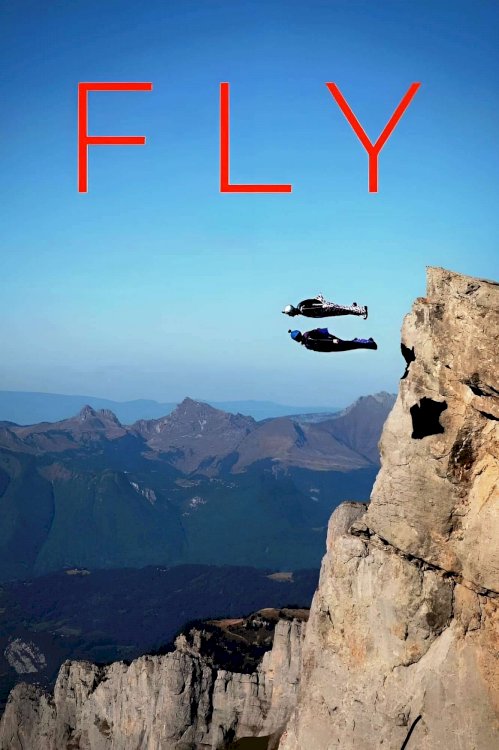 Fly - Movie Poster Fly - Movie Poster