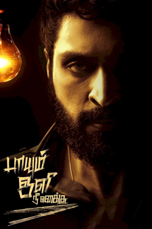 Paayum Oli Nee Yenakku - Movie Poster Paayum Oli Nee Yenakku - Movie Poster