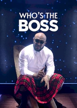 Who's the Boss - Movie Poster