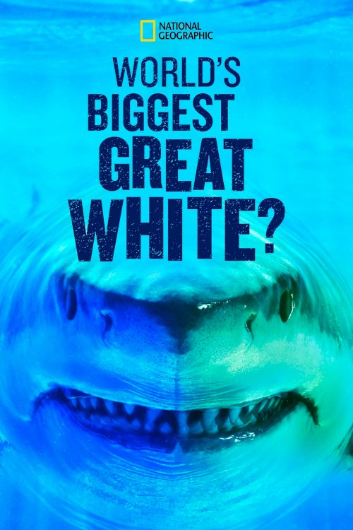 World's Biggest Great White? - Movie Poster World's Biggest Great White? - Movie Poster