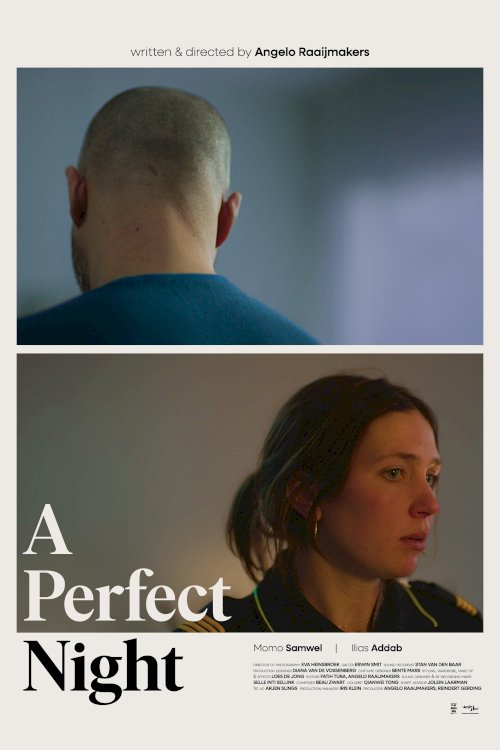 A Perfect Night - Movie Poster A Perfect Night - Movie Poster