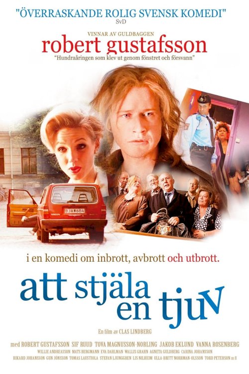 To Steal a Thief - Movie Poster