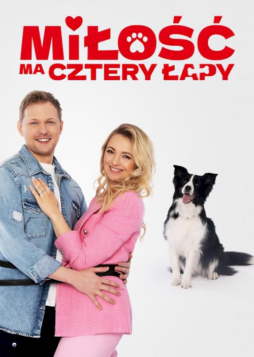 Miłość ma cztery łapy - Movie Poster Miłość ma cztery łapy - Movie Poster