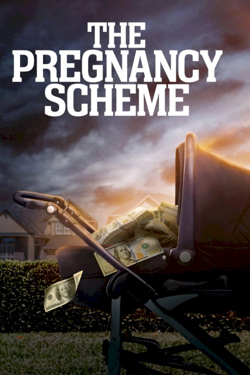 The Pregnancy Scheme - Movie Poster The Pregnancy Scheme - Movie Poster