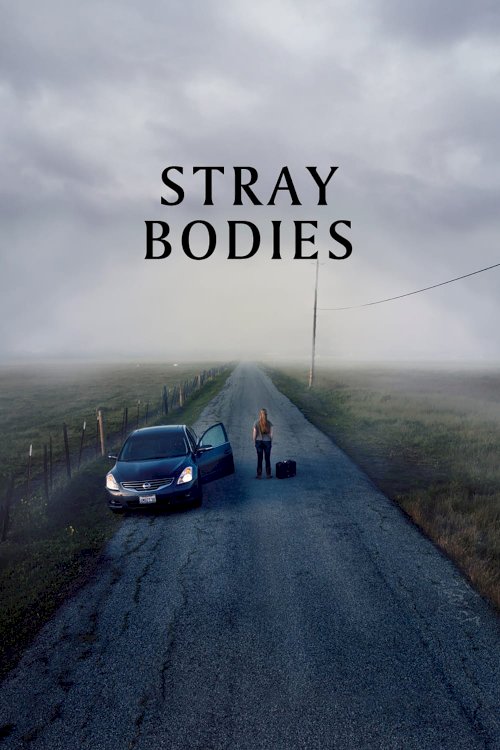 Stray Bodies - Movie Poster Stray Bodies - Movie Poster